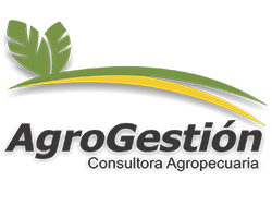 Canvas Logo
